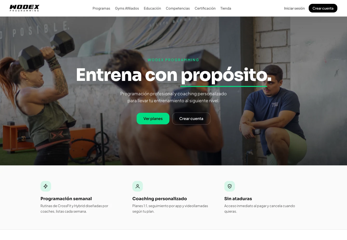 Página de inicio de Wodex